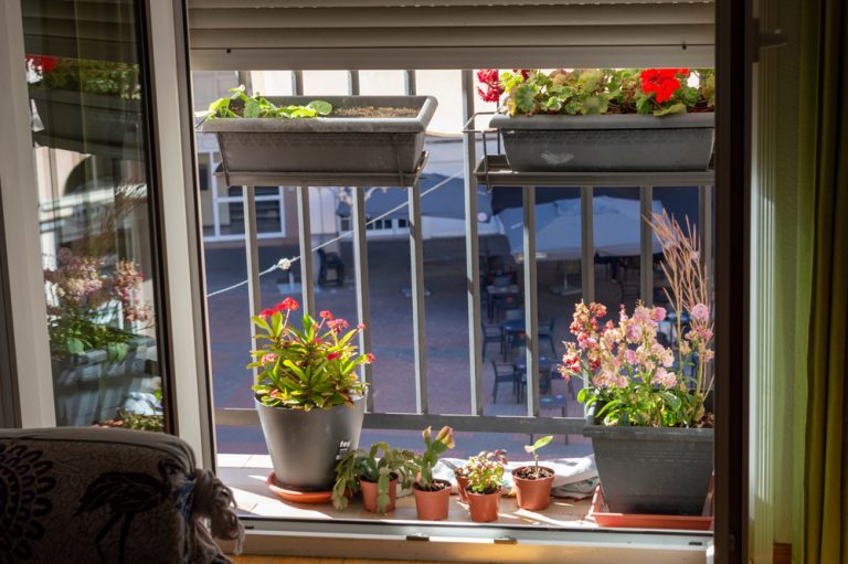 Juliet Balcony Guide (What it is + Ideas & Decorating Tips) Balcony Boss