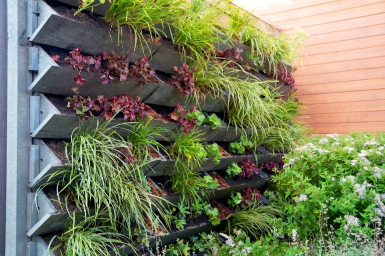 vertical gardening