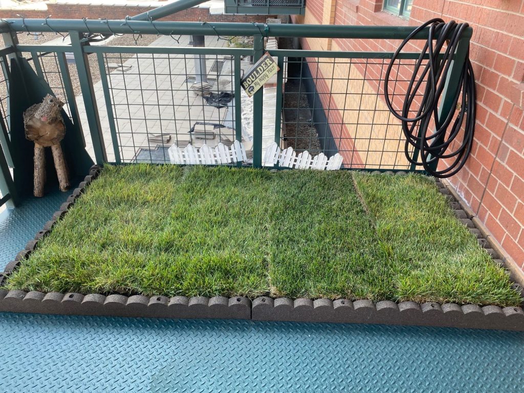 real balcony grass